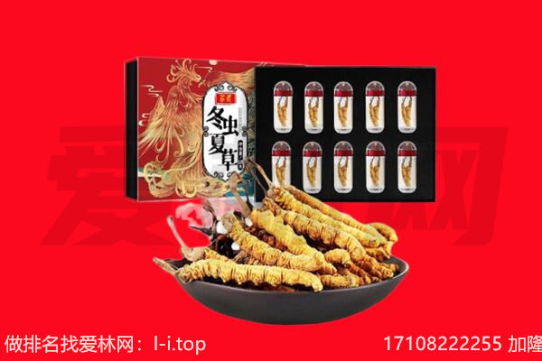 揭阳市揭东回收虫草.jpg